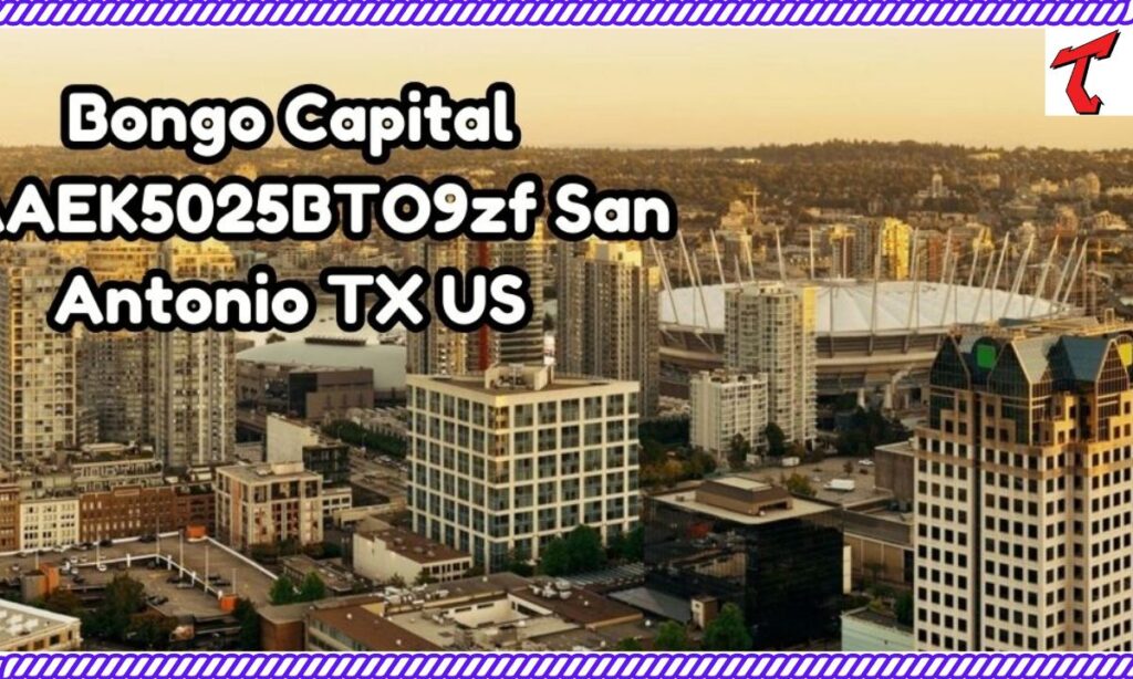 Future Prospects And Strategic Plans Of Bongo Capital Daaek5025bto9zf San Antonio Tx Us