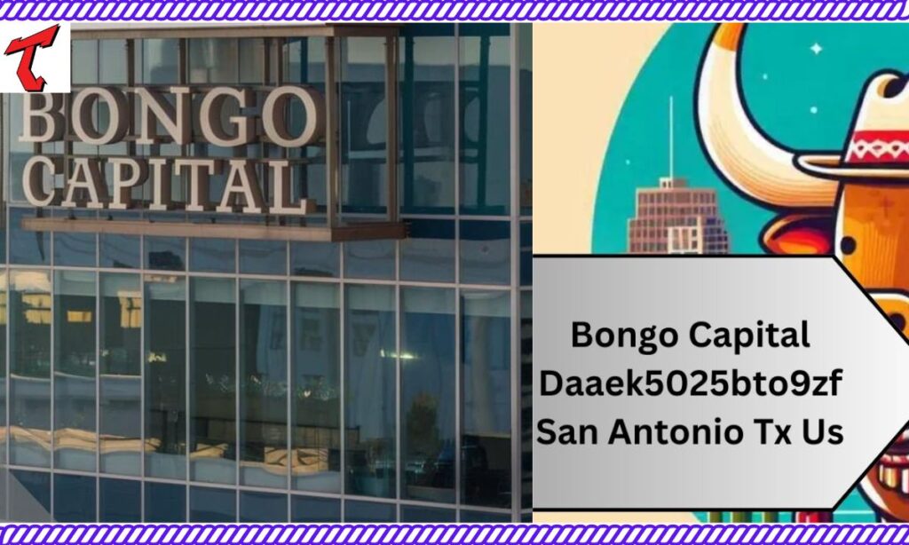 How To Engage With Bongo Capital Daaek5025bto9zf San Antonio Tx Us