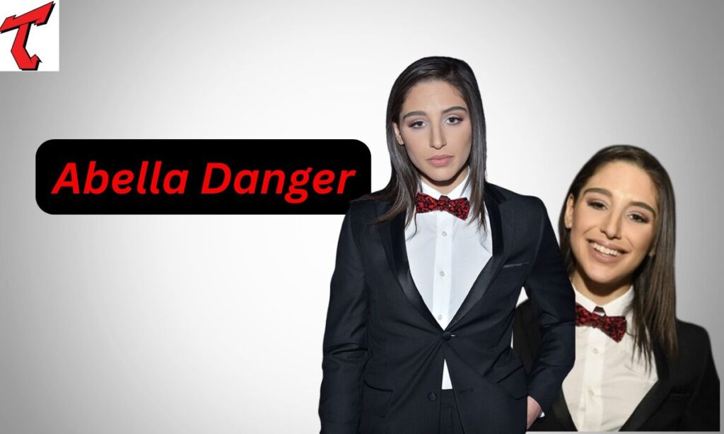 Abella Danger Income Sources